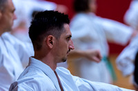 2014-11-13 Karate Training Tanaka