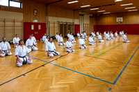2015-03-22 Karate Fumitoshi