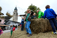 2013-09-14 Seekirchen Biofest