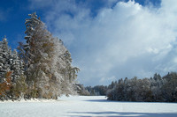 2007-11-17 Winterwald